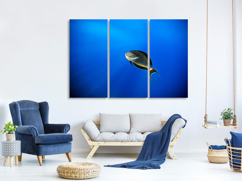 3-piece-canvas-print-blu