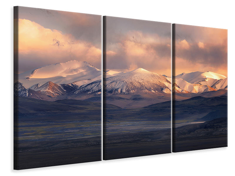 3-piece-canvas-print-cappuccino