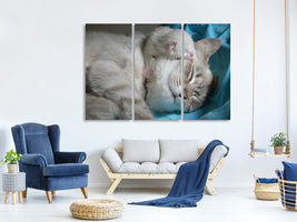 3-piece-canvas-print-cats-mom-with-baby