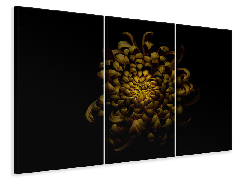 3-piece-canvas-print-chrysanthemum