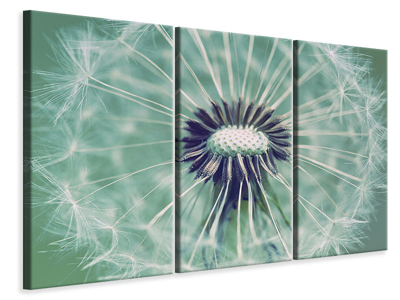 3-piece-canvas-print-close-up-dandelion