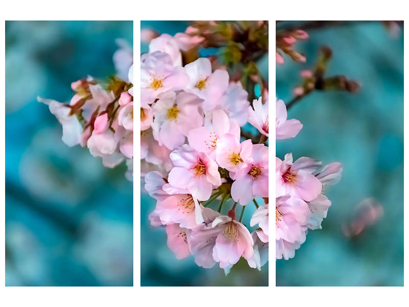 3-piece-canvas-print-close-up-flower