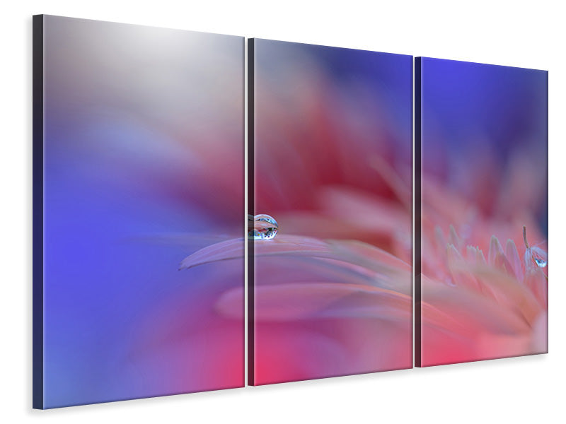 3-piece-canvas-print-colorful-explosion