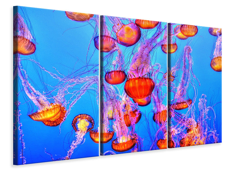 3-piece-canvas-print-colorful-jellyfish