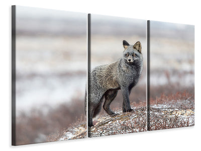 3-piece-canvas-print-cross-fox