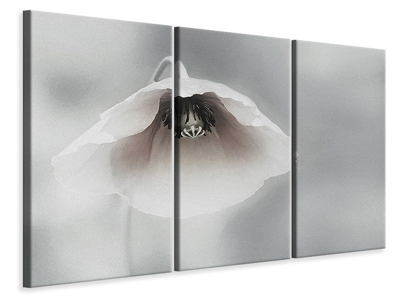 3-piece-canvas-print-ephemeral-beauty-ii