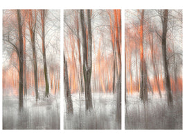 3-piece-canvas-print-evening-light