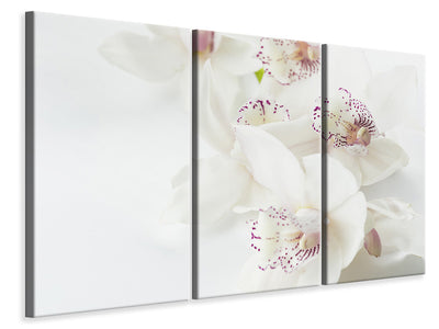 3-piece-canvas-print-fantastic-orchids