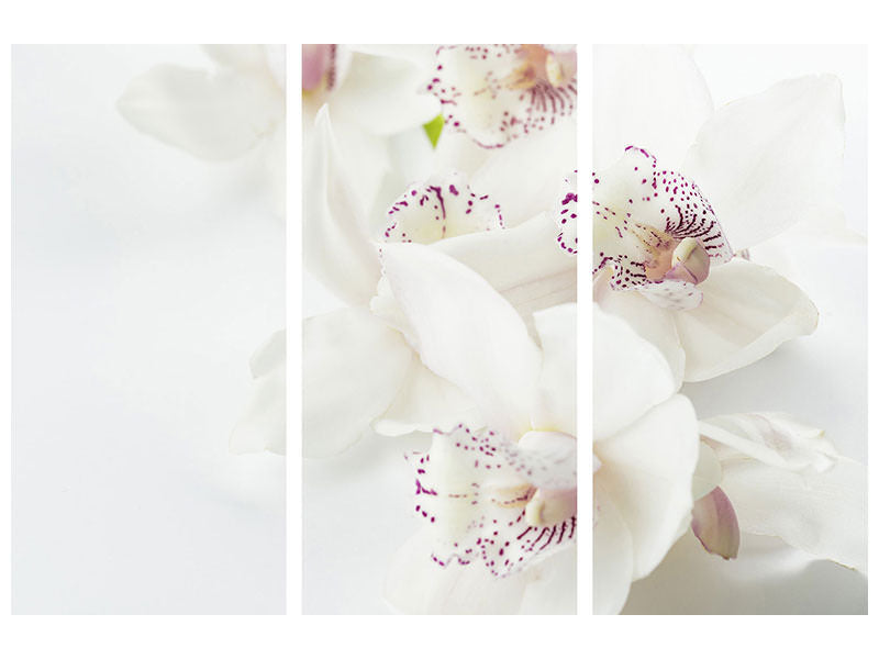 3-piece-canvas-print-fantastic-orchids