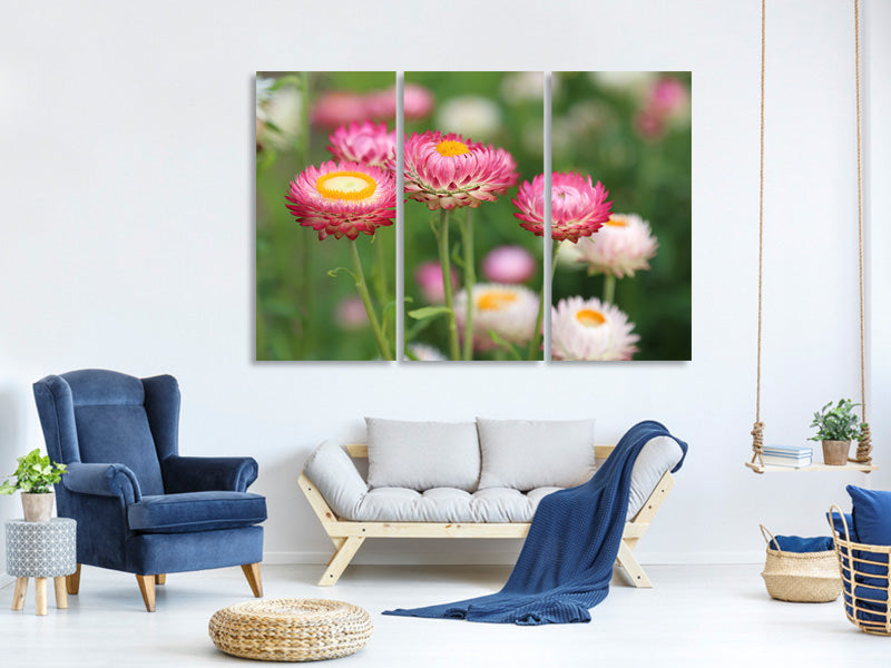 3-piece-canvas-print-flowers-of-spring
