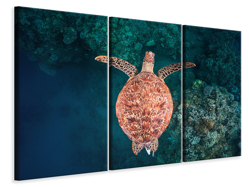 3-piece-canvas-print-flying-over-the-reef