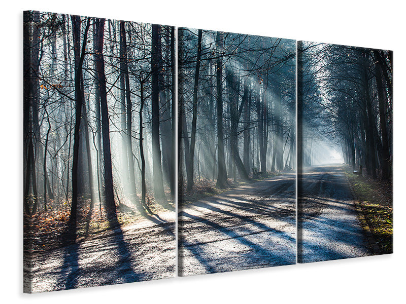 3-piece-canvas-print-forest-in-the-light-beam
