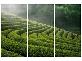 3-piece-canvas-print-green-tea-farm