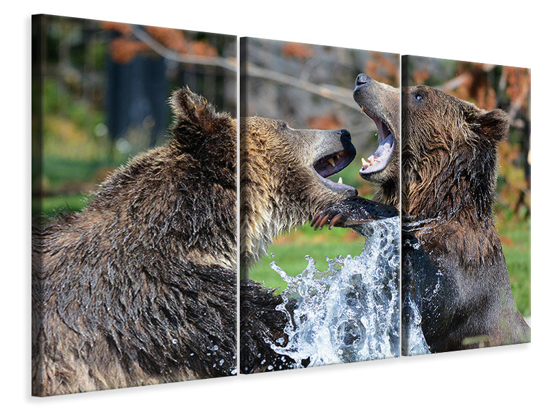 3-piece-canvas-print-grizzly-fight