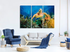 3-piece-canvas-print-hawksbill-turtle-swimming-through-caribbean-reef