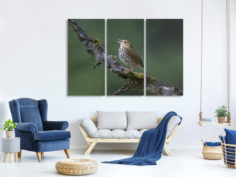 3-piece-canvas-print-in-the-forest-p