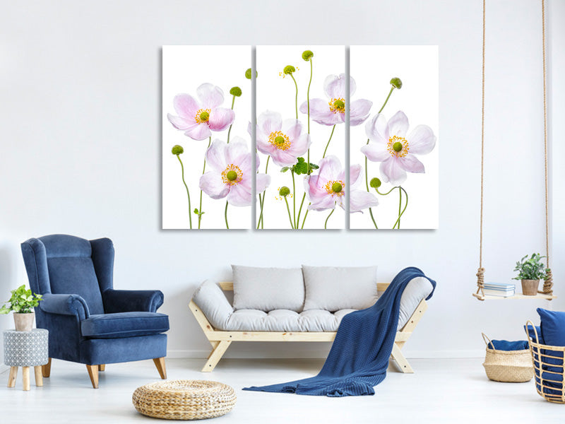 3-piece-canvas-print-japanese-anemones