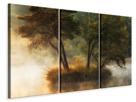 3-piece-canvas-print-lonely-island