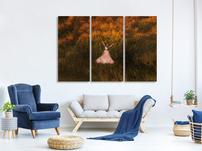 3-piece-canvas-print-natalia-in-the-field