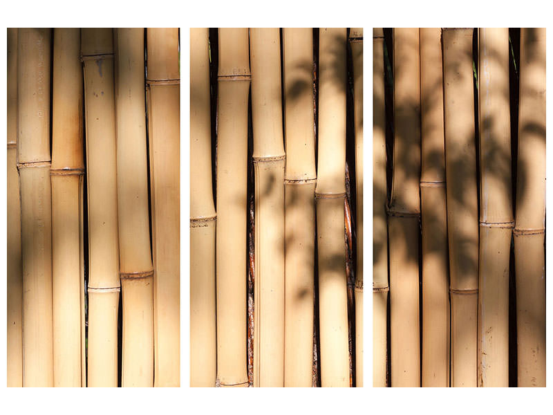 3-piece-canvas-print-natural-bamboo