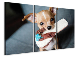 3-piece-canvas-print-obedient-chihuahua