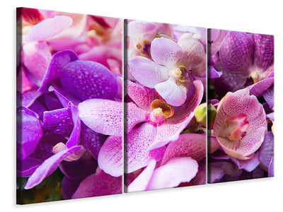 3-piece-canvas-print-orchid-paradise
