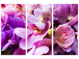 3-piece-canvas-print-orchid-paradise