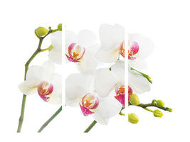3-piece-canvas-print-orchids-love