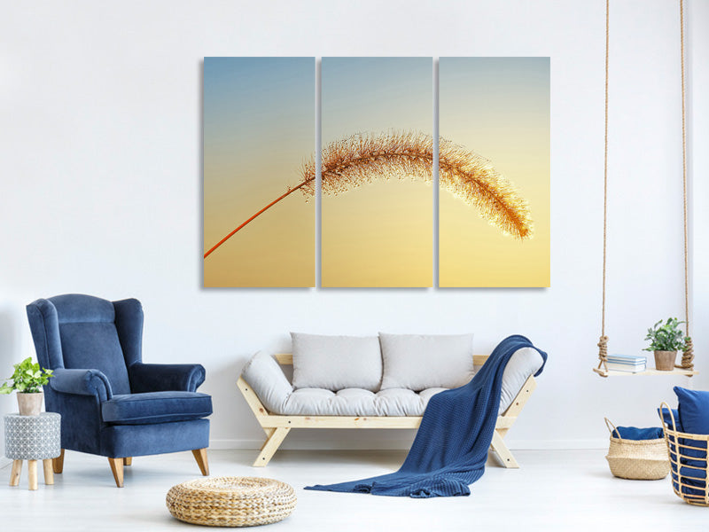 3-piece-canvas-print-ornamental-grass-in-xxl