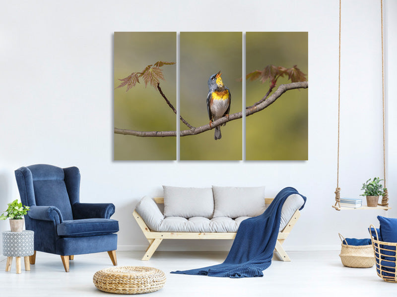 3-piece-canvas-print-parula-on-stage