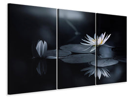 3-piece-canvas-print-reflection-iv