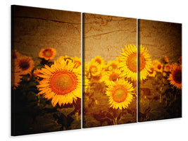 3-piece-canvas-print-retro-sunflower