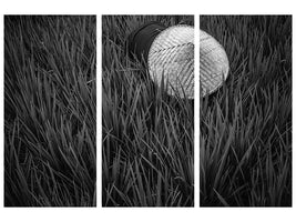 3-piece-canvas-print-rice-fields-in-bw