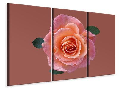 3-piece-canvas-print-rose-in-apricot-xxl