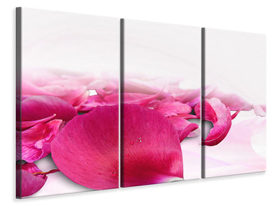 3-piece-canvas-print-rose-petals-in-pink-iii