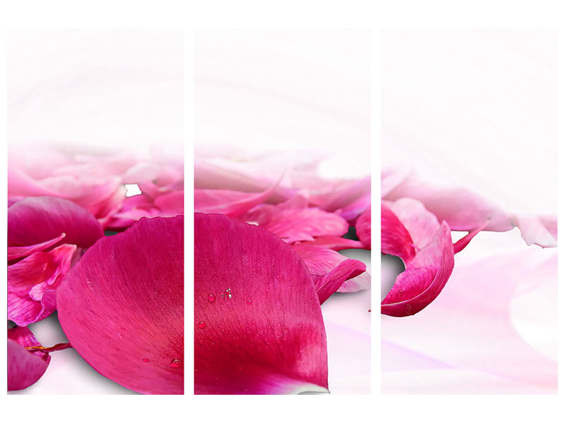 3-piece-canvas-print-rose-petals-in-pink-iii