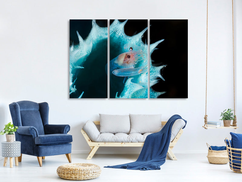 3-piece-canvas-print-shrimp-in-a-blue-sponge
