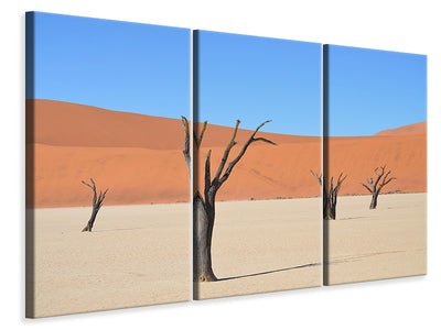 3-piece-canvas-print-sossusvlei-namibia