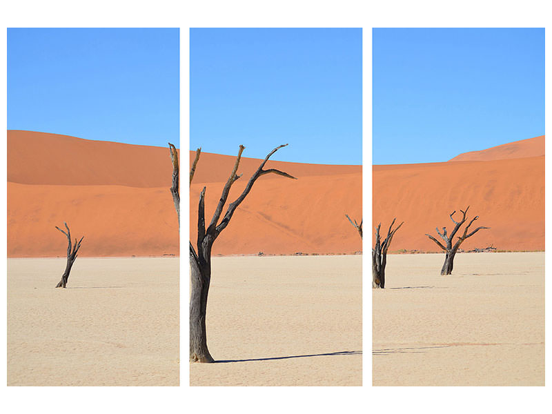 3-piece-canvas-print-sossusvlei-namibia