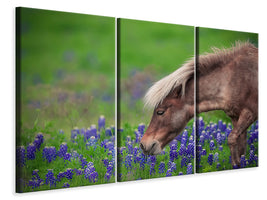 3-piece-canvas-print-spring-is-in-the-air