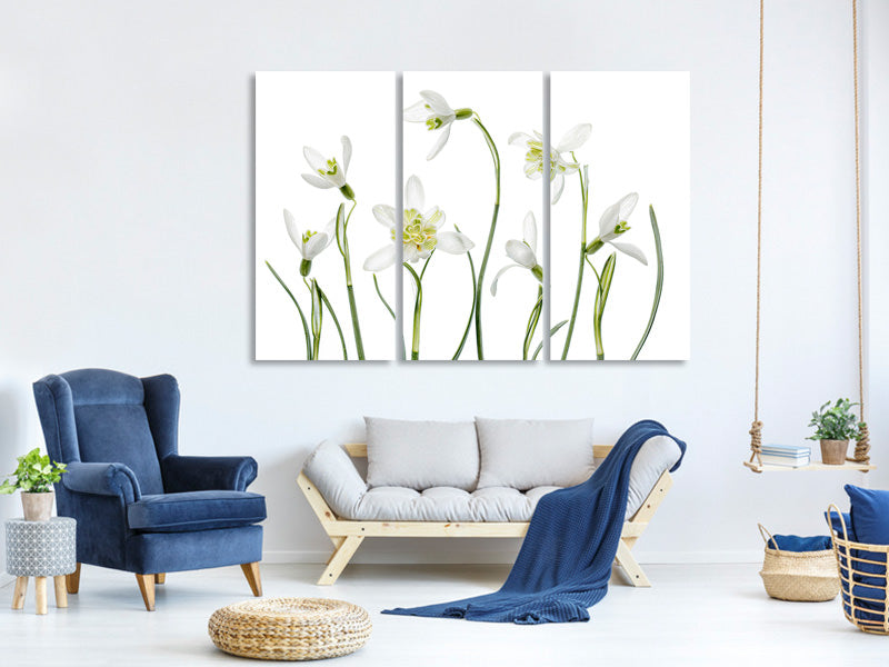 3-piece-canvas-print-spring-snowdrops