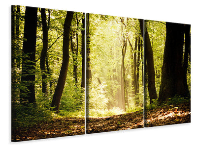 3-piece-canvas-print-sunrise-in-the-forest