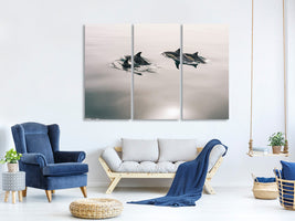 3-piece-canvas-print-the-dolphins