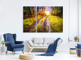 3-piece-canvas-print-the-forest-path