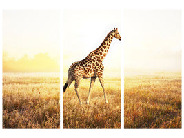 3-piece-canvas-print-the-giraffe