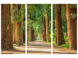 3-piece-canvas-print-the-green-avenue