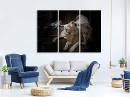 3-piece-canvas-print-the-lion-couple