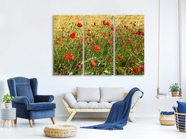 3-piece-canvas-print-the-poppy-in-the-wind