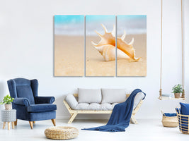 3-piece-canvas-print-the-shell-on-the-beach