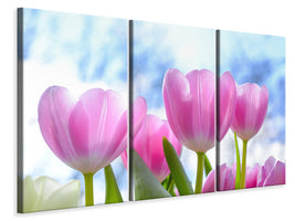 3-piece-canvas-print-tulips-in-nature